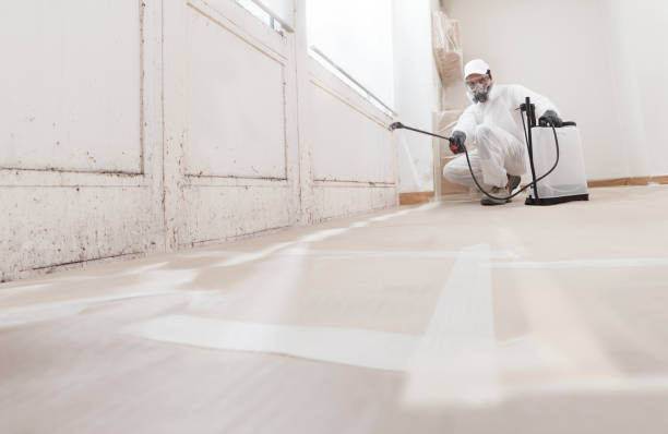 24/7 Emergency Basement Mold Remediation experts in Bedford, VA